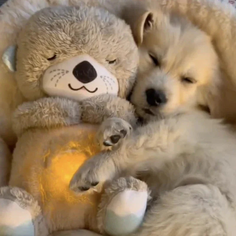Kalmerende Otter Knuffel (Voor huisdieren en kinderen)