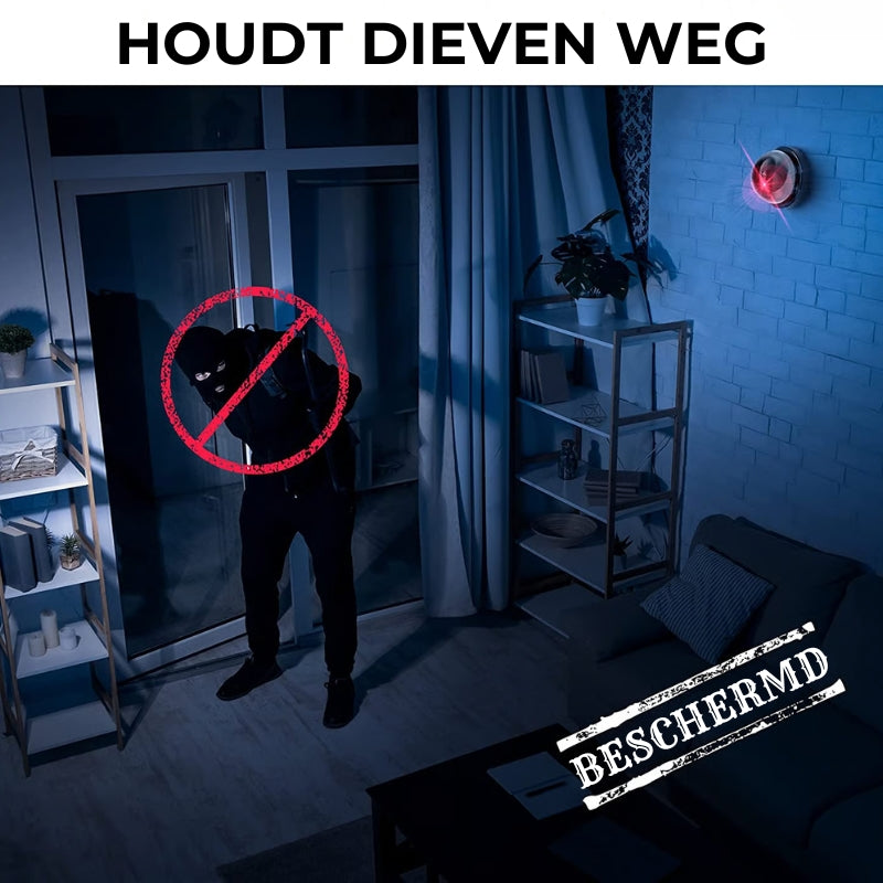 Beveiligings Nepcamera