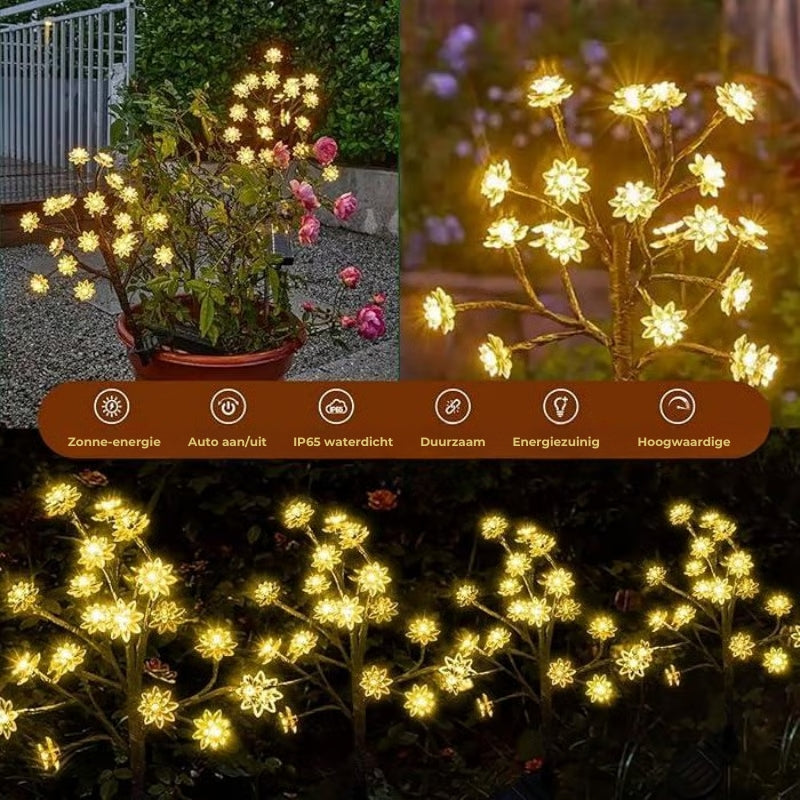 Zonne-Energie Kersenbloemen Tuinlamp