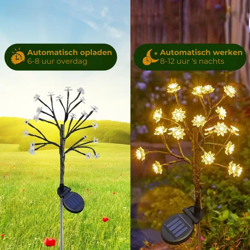 Zonne-Energie Kersenbloemen Tuinlamp