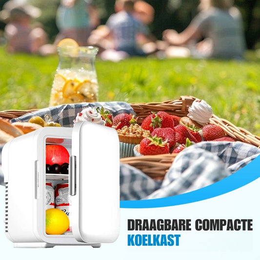 Slimme Mini Autokoelkast
