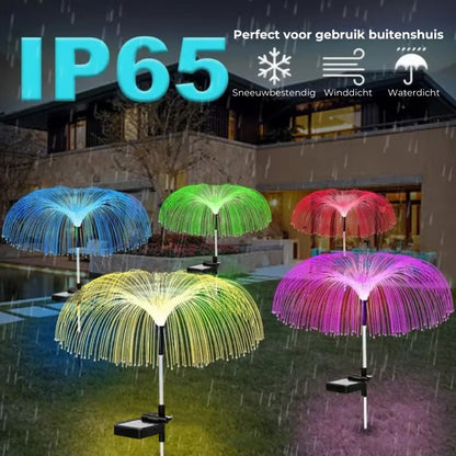 Zonne-Energie Kwallenlamp