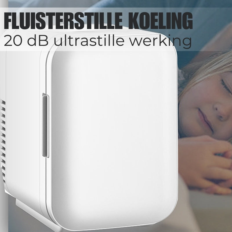 Slimme Mini Autokoelkast