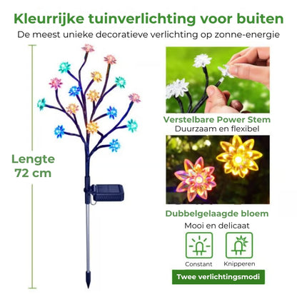 Zonne-Energie Kersenbloemen Tuinlamp
