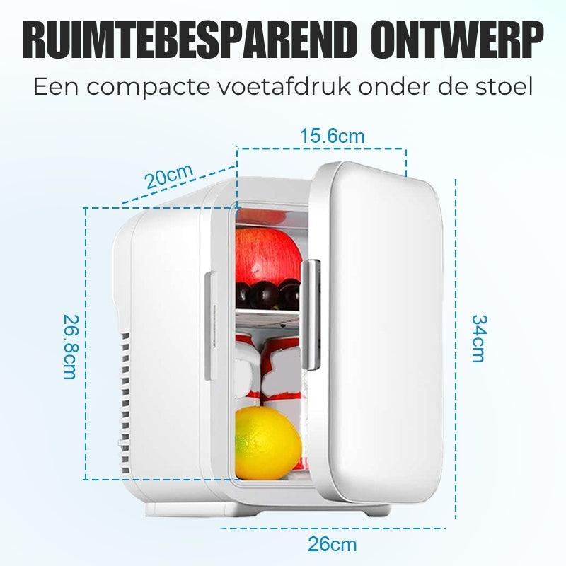 Slimme Mini Autokoelkast