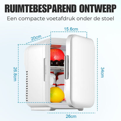 Slimme Mini Autokoelkast